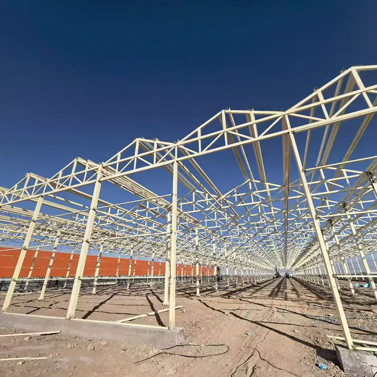 Kodėl cinkuoto plieno šiltnamio karkasas yra geriausias pasirinkimas šiuolaikiniame žemės ūkyje